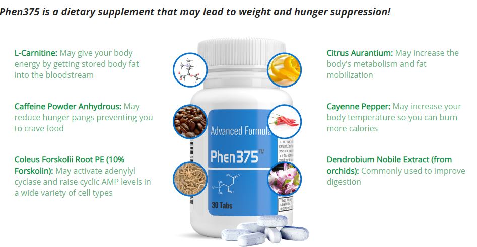 phen375 ingredients