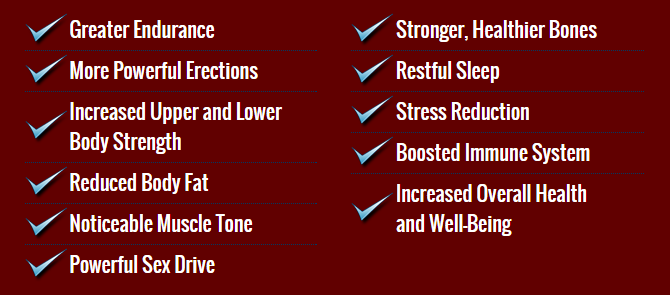 testosterone-booster-reviews